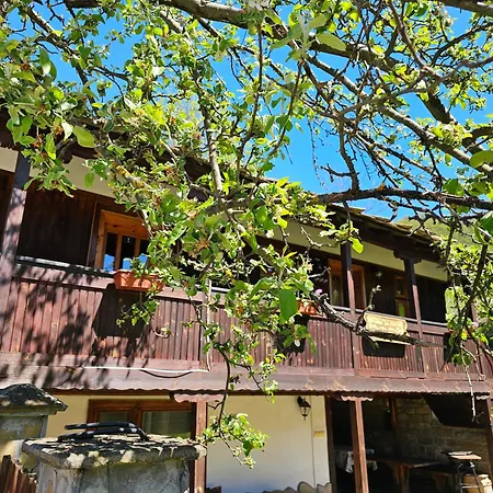 хитър петър Villa Apriltsi (Lovech)